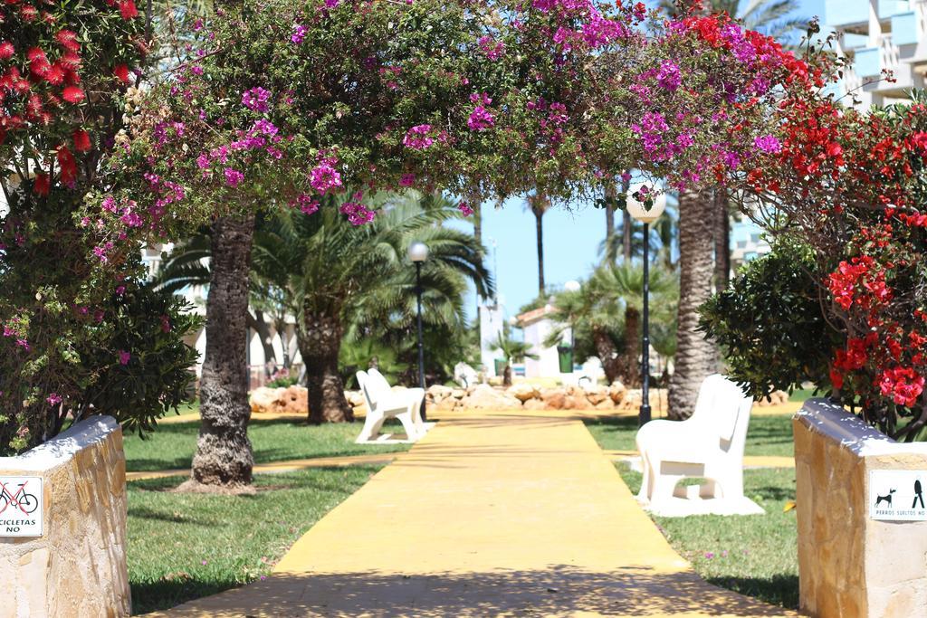 Apartment Oliver Playa Denia